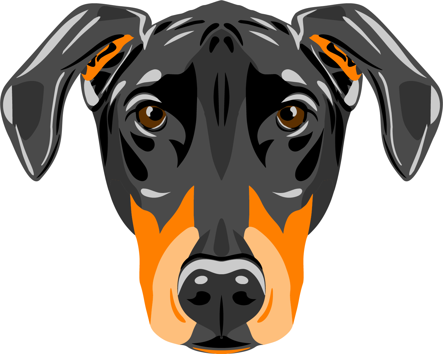 dobermandigital.com